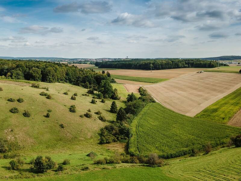 Das Bild zeigt die weitläufige Alb-Landschaft um Laichingen mit grünen Hügeln, einzelnen Bäumen, Feldern und einem Waldstreifen im Hintergrund unter einem bewölkten Himmel.