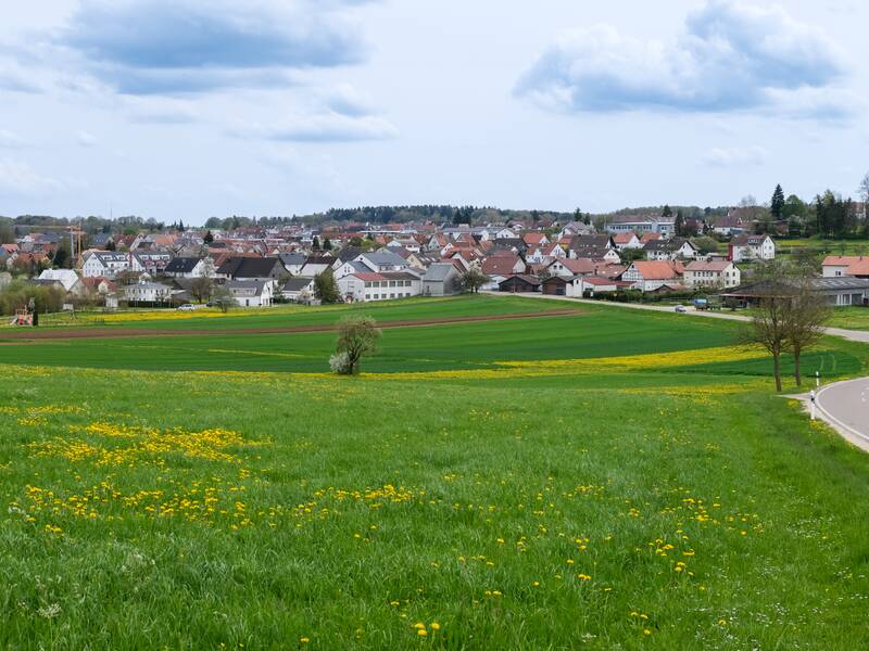 Eine weitläufige, grüne Landschaft mit blühenden Wiesen führt zu einer kleinen Stadt im Hintergrund, über der sich ein bewölkter Himmel erstreckt.