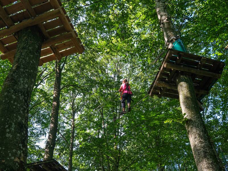 Ein Kind klettert entlang eines Seiles zwischen 2 Plattformen die an 2 Bäumen befestigt sind. Die Kamerapersektive ist von unten nach oben, hinter dem kletternden Mädchen sind die Baumkronen von unten zu sehen