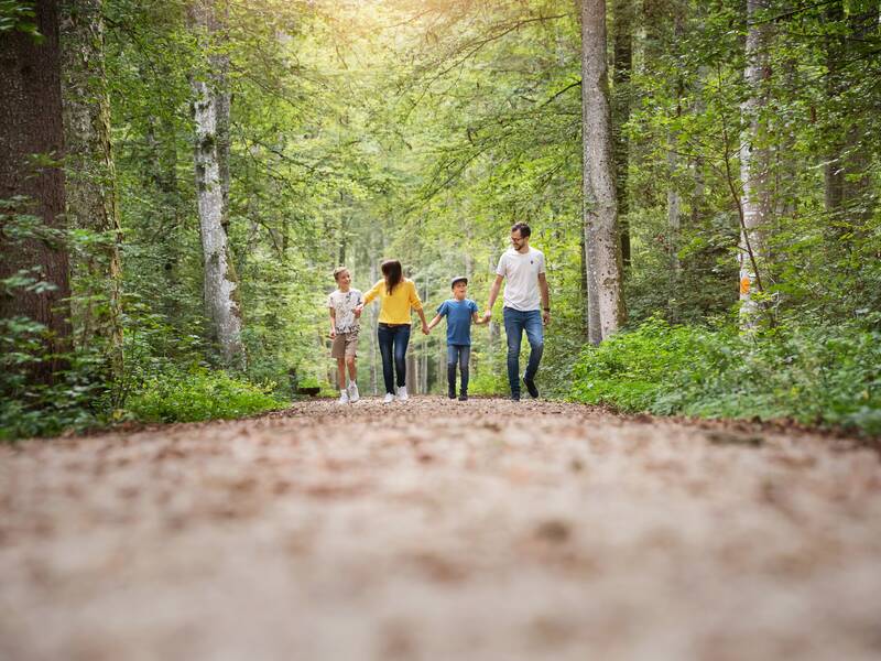 Eine Familie spaziert einen bewaldeten Weg entlang, umgeben von hohen Bäumen und dichtem Grün.