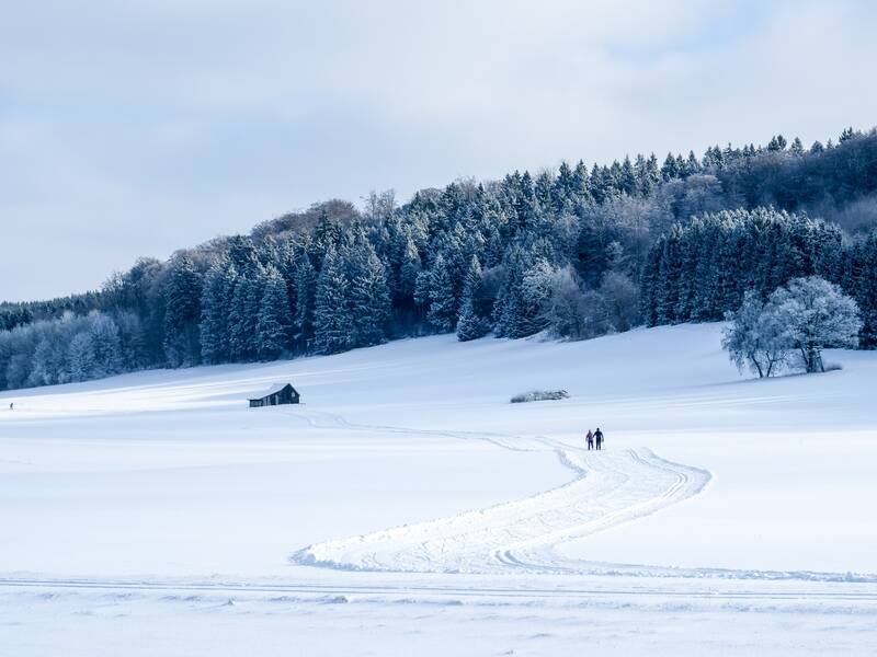 Zwei Personen langlaufen auf einem verschneiten Feld mit vereisten Bäumen und einem kleinen Holzhäuschen im Hintergrund.